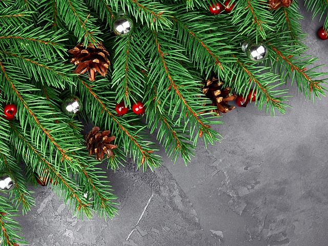 С Новым 2026 годом!